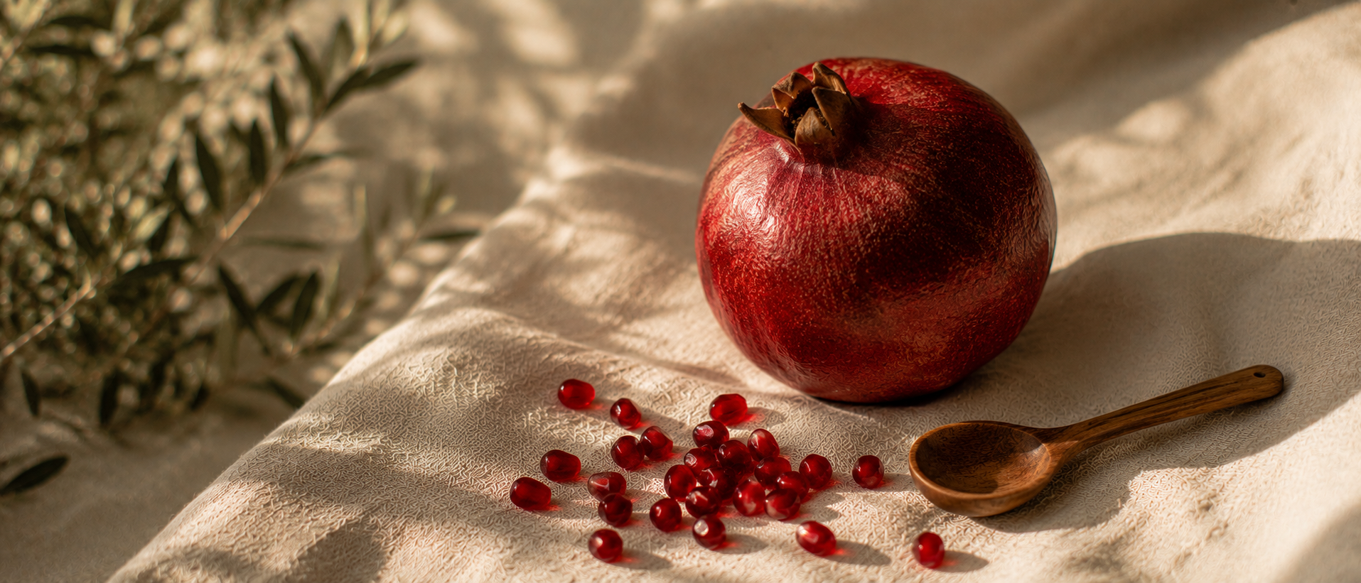 Ernährung & Darm